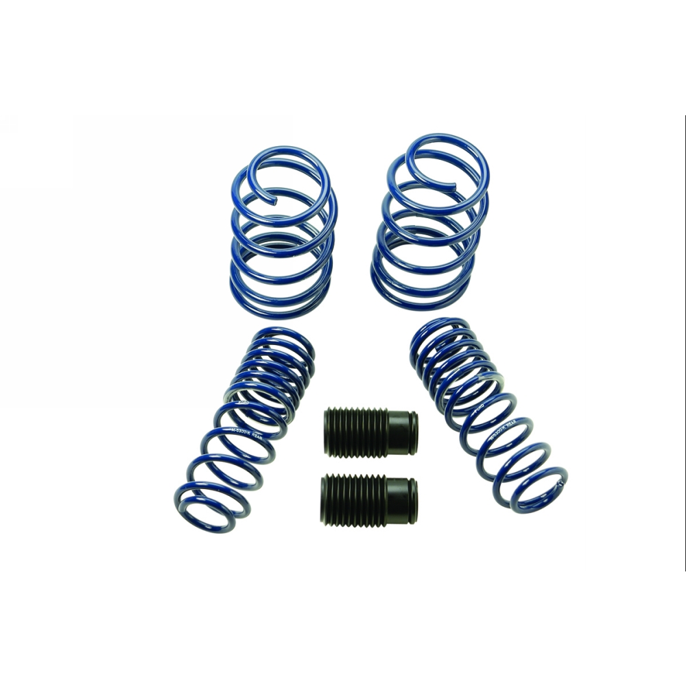 2007-2014 MUSTANG SHELBY GT500 SPRINGS| Part Details for M-5300-L