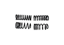 1979-2004 MUSTANG FRONT/REAR SPRING KITS