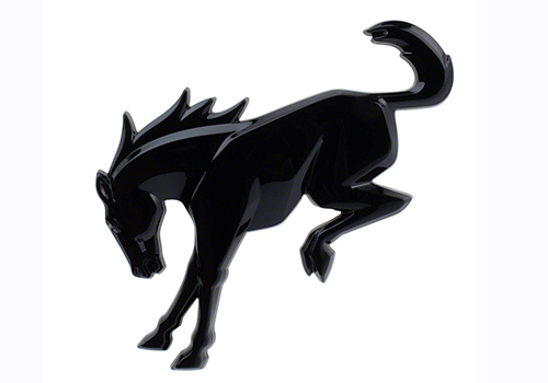 Bronco Gloss Black Rear Emblem