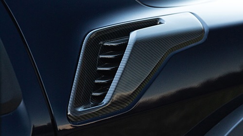 F-150 Raptor 2021-2026 2-Piece Carbon Fiber Fender Vent Set – Gloss ...