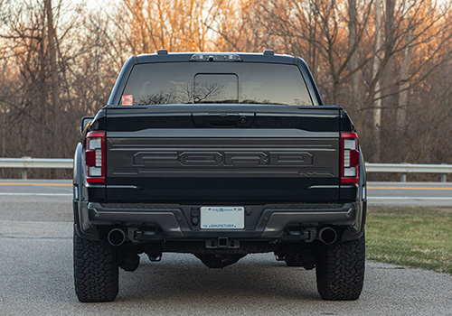 F-150 Raptor Carbon Fiber Tailgate Panel - Gloss | Accessories | Ford.com