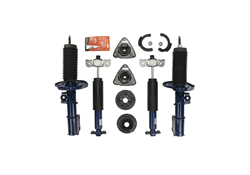 Mustang 2015-2023 Track Strut and Shock Kit