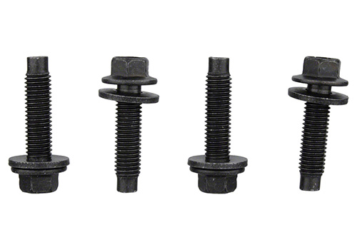 Raptor 2017-2022 FPP Bead Lock Ring Bolt Kit