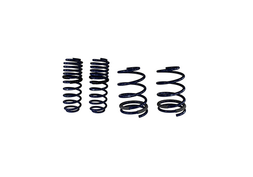 Mustang GT 2005-2014 Coupe Street Lowering Springs