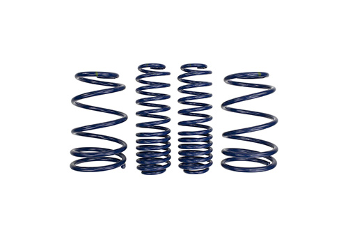 2007-2014 MUSTANG SHELBY GT500 SPRINGS