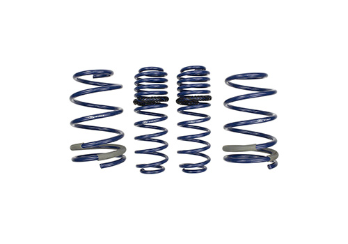 Mustang GT 2005-2014 Track Lowering Springs