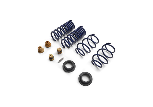 2015-2024 MUSTANG STREET LOWERING SPRING KIT