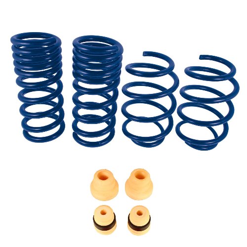 2015-2020 MUSTANG TRACK LOWERING SPRINGS