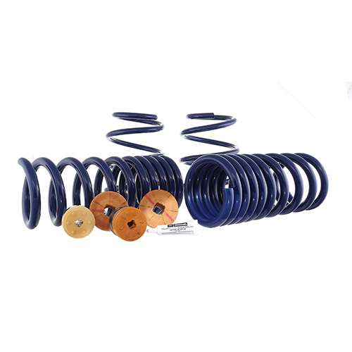 Mustang 2015-2023 Track Lowering Spring Kit