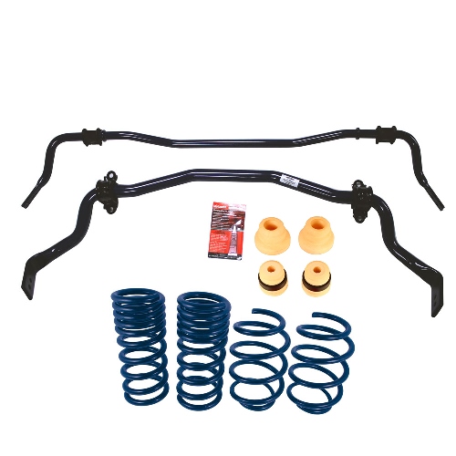 Mustang 2015-2023 Street Sway Bar and Spring Kit