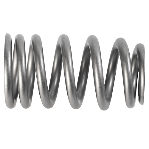 PAC 1219X Beehive Valve Spring set of 16