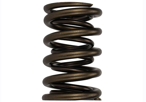 TVS-1734 VALVE SPRING (1)